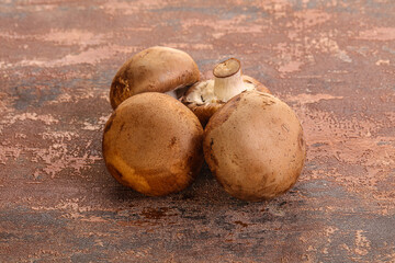 Raw brown champignons mushroom heap