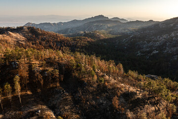 View from drone on Mount Lemmon in Arizona