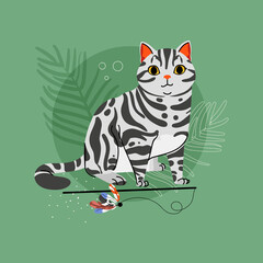 Fototapeta na wymiar American Shorrthair cat breed on green background. Pet animal character illustration