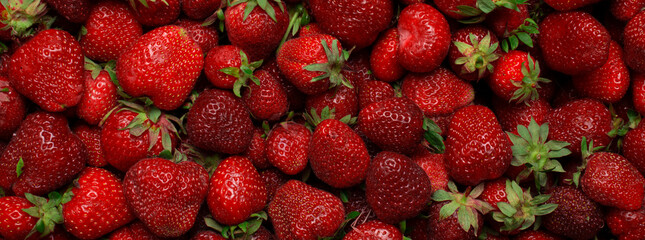 ripe strawberries, summer background, grown in ukraine