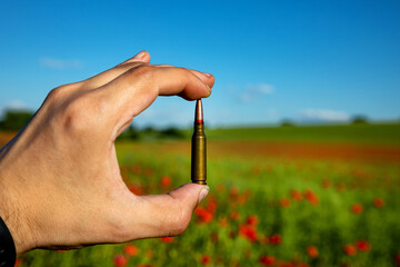 Cartridge from a machine gun in human hands on a background of a field of red poppies. The war in...