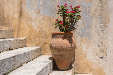 Fototapeta na wymiar Large vintage clay vase on the stairs next to wall in mediterranean old town with Crown of thorns red flowers ( Euphorbia milii ) also know Christ plant. 