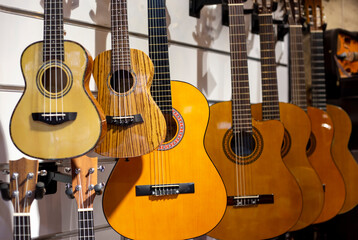 Obraz na płótnie Canvas Ukulele small four-stringed guitar of Hawaiian origin and Classical nylon string guitars at showcase in music store