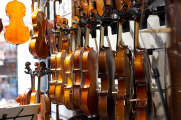 Showcase with violins in music store