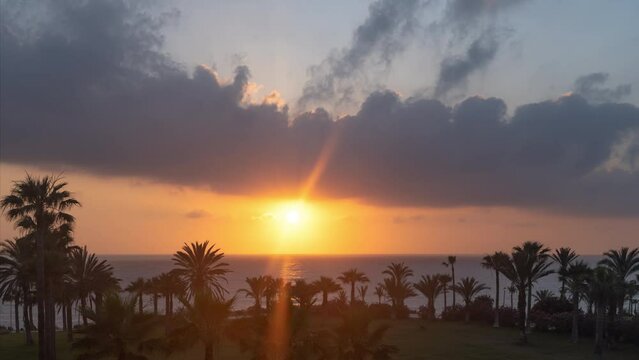 Timelapse. Silhouette of sea beach full of palm trees against the backdrop of a huge setting sun on cloudy sky. Top view