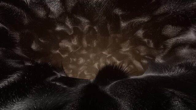 Artistic animal skin hair tunnel loop animation.