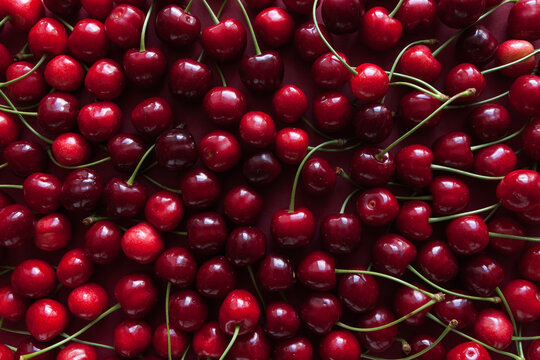 Ripe cherry berries on a red background. Top view. Food concept. 