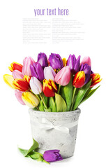 Obraz premium bouquet of tulips