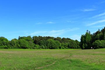 Green park with lawn and forest. Swedish nature one summer day. Stockholm, Sweden.