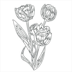 Flower Coloring Book Page . Flowers in bucket for coloring book page . 