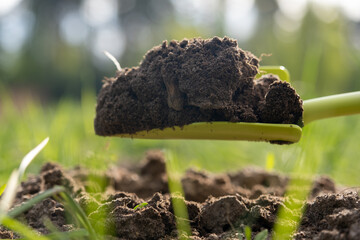 Close-up. A woman's hand loosens the ground in the garden with a garden shovel. Bright green grass...