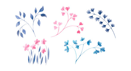 Watercolor set with pink and blue twigs with small leaves, small pink flowers. Nature, plants, foliage. Botanical illustration for fabrics, dresses, decor, postcards