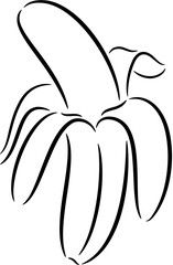 Illustration of ripe banana, isolated