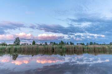Fototapeta na wymiar River and floodplains in Alam-Pedja Nature Reserve, Estonia 