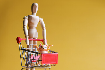 A lone human mannequin carries a cute funny ginger kitten in a shopping cart. The concept of...