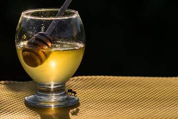 Pouring aromatic Jar of acacia honey, Flowing honey, on rustic wooden table background. Copy space. organic, white lilies, grape leaves, glass