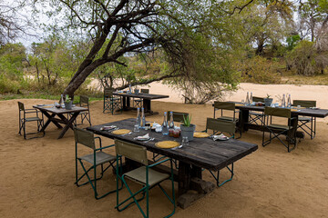 Get ready for safari - breakfast in the bush © ALEXANDER