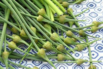 elephant Garlic Scapes Being Sold At The Farmer's Market