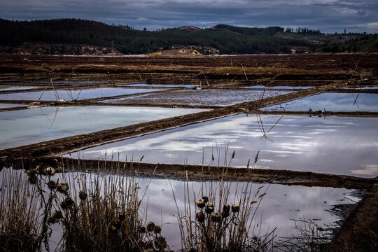 Salinas de C&aacute;huil