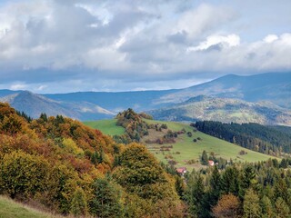 Autumn colorful leaves on the ground and on the trees. Slovakia	