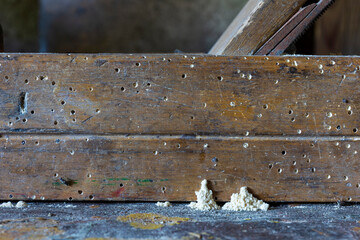 Chiaroscuro Still life with the beading Plane and the Wood-worms