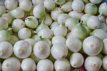 White onions placed on a shelf for sale within a market