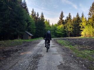 Obraz premium Cyclist in the woods in the nature during summer or autumn. Slovakia