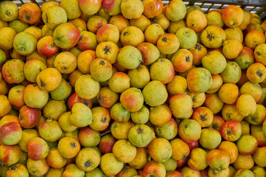 Tejocote placed on a shelf for sale in a marketplace