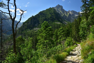 Great Cold Valley vantage point, High Tatras, Slovakia