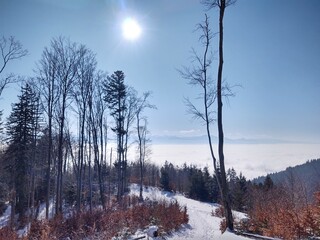 Mist inversion in the woods and mountains during autumn and winter. Slovakia