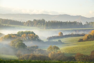 Mist inversion in the woods and mountains during autumn and winter. Slovakia