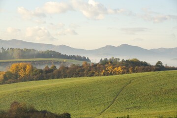 Obraz premium Mist inversion in the woods and mountains during autumn and winter. Slovakia