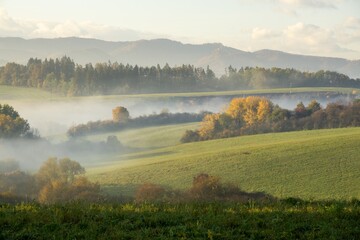 Mist inversion in the woods and mountains during autumn and winter. Slovakia
