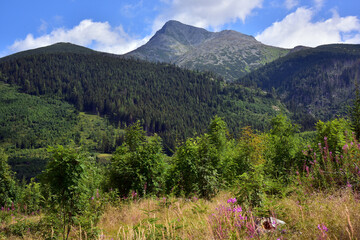 Fototapeta na wymiar Krivan peak, High Tatras, Slovakia
