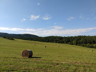 Hay bales on the meadow during autumn. Slovakia