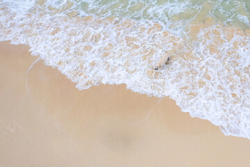 Fototapeta na wymiar Golden retriever dog playing with ball at the beach