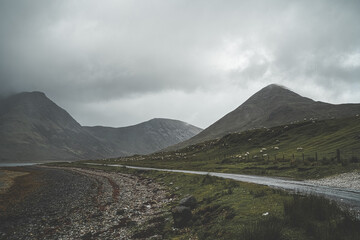 Lakeside road through the mountains, sheep grazing