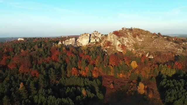 fall colors in the mountains	