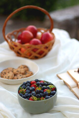 Picninc blanket with straw bag, bowl of strawberries and blueberries, bowl of chocolate chip cookies, books, sunglasses and basket of apples in the garden. Selective focus.