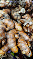 Ginger Root Fresh Close Up After Harvesting