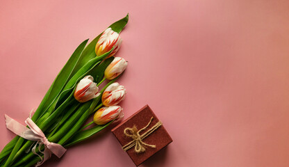 Tulip flowers on a pink background along with a gift box with free space for your inscription. View from above. Holiday concept.