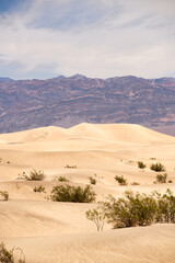 Mesquite Flat Sand Dunes in Dealth Valley California
