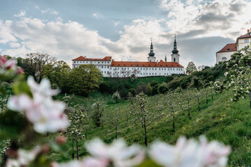 View of Strahov Monastery with church of the Assumption of the Blessed Virgin Mary,Prague panorama,Czech Republic,blooming spring trees.Romantic calm atmosphere.Beautiful sightseeing,travel scenery