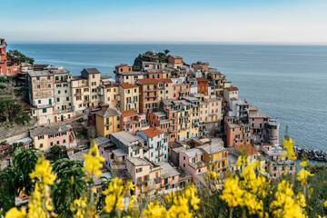 View of Manarola,Cinque Terre,Italy.UNESCO Heritage Site.Picturesque colorful village on rock above sea.Summer holiday,travel background.Italian Riviera landscape.Houses on steep cliff,vineyards. - obrazy, fototapety, plakaty
