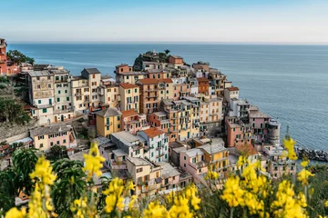 Foto op Canvas View of Manarola,Cinque Terre,Italy.UNESCO Heritage Site.Picturesque colorful village on rock above sea.Summer holiday,travel background.Italian Riviera landscape.Houses on steep cliff,vineyards. © Eva