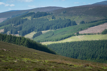 Fototapeta premium Looking down a valley towards a Wicklow National Park