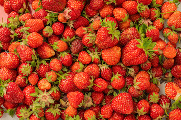 Strawberries background. Fresh strawberry. Food background. Freshly harvested strawberries, top view. Ripe organic sweet strawberry. Summer fruit from top. Tasty vegan snack