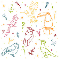 Set of bright tropical fantasy birds of paradise in doodle style with floral and vegetal ornaments. Collection for stickers, patterns, decor, prints
