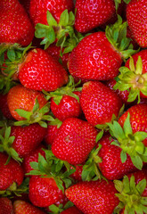 a lot of red strawberries