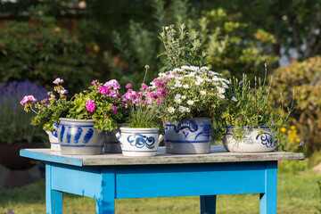 Blumen in Töpfen auf Tisch als Gartendeko